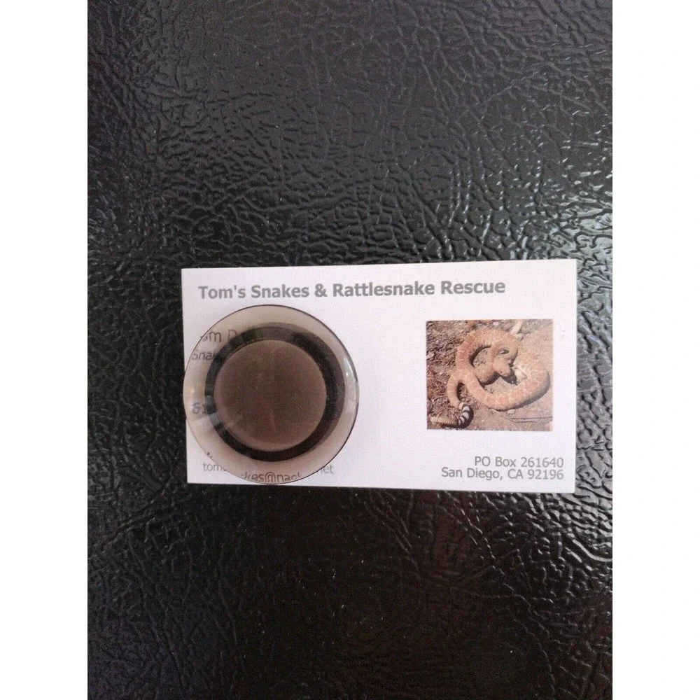 Very‎ Strong Disc Magnets (6 Pack) for Kitchen, Crafts, Utility Use BLACK